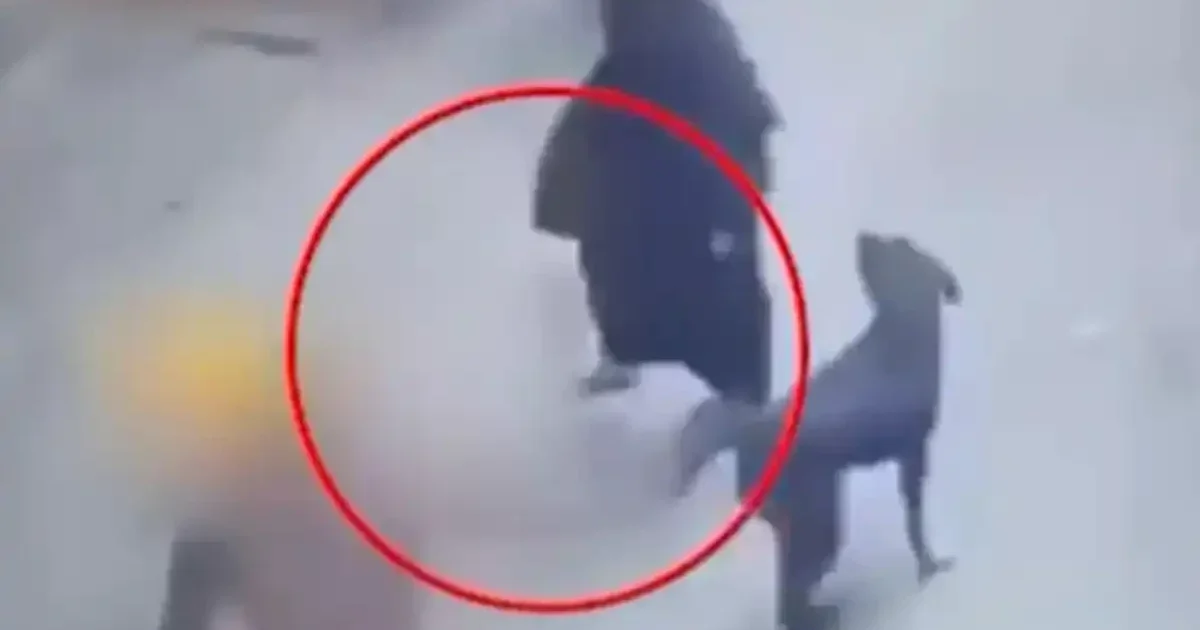بھارت میں مسلم خاتون پر وحشیانہ حملہ، انتہاپسندوں نے کتا چھوڑ دیا