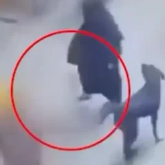 بھارت میں مسلم خاتون پر وحشیانہ حملہ، انتہاپسندوں نے کتا چھوڑ دیا