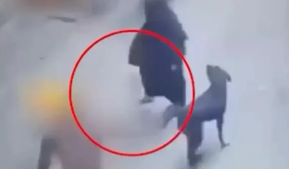 بھارت میں مسلم خاتون پر وحشیانہ حملہ، انتہاپسندوں نے کتا چھوڑ دیا