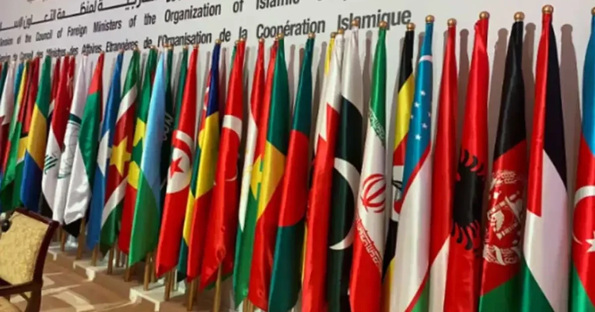 بھارت میں مسلمانوں پر مظالم اور مقبوضہ کشمیر میں انسانی حقوق کی پامالی OIC کا اقوام متحدہ سے تحقیقاتی مشن بھیجنے کا مطالبہ
