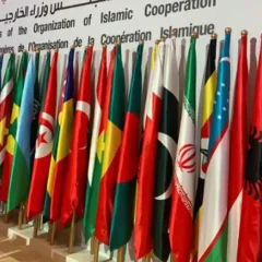 بھارت میں مسلمانوں پر مظالم اور مقبوضہ کشمیر میں انسانی حقوق کی پامالی OIC کا اقوام متحدہ سے تحقیقاتی مشن بھیجنے کا مطالبہ