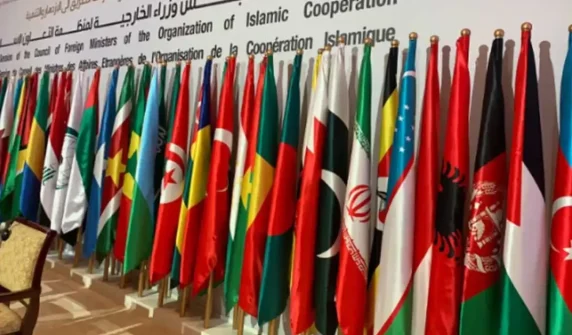 بھارت میں مسلمانوں پر مظالم اور مقبوضہ کشمیر میں انسانی حقوق کی پامالی OIC کا اقوام متحدہ سے تحقیقاتی مشن بھیجنے کا مطالبہ