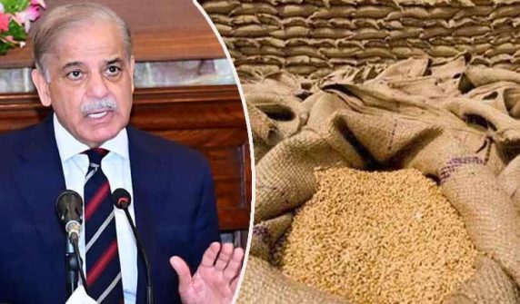 حکومت نے گندم پالیسی 2026-2025 کی منظوری دے دی