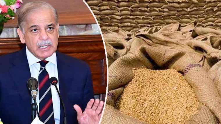 حکومت نے گندم پالیسی 2026-2025 کی منظوری دے دی