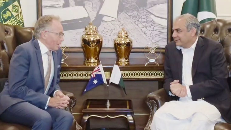 وفاقی وزیر داخلہ محسن نقوی سے آسٹریلوی ہائی کمشنر نیل ہاکنز کی ملاقات