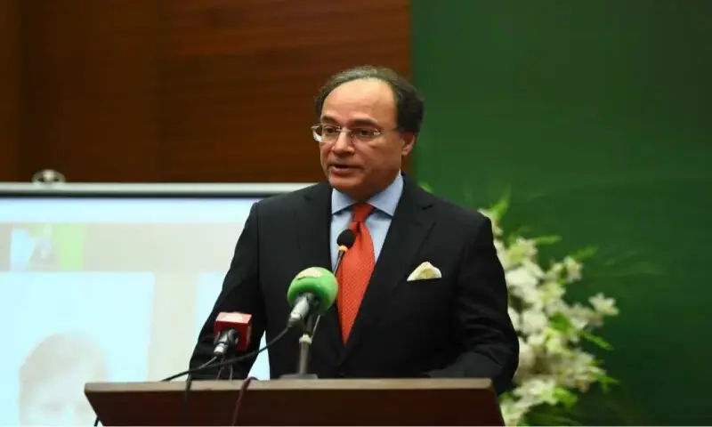 حکومت نے 24 سرکاری ادارے نجکاری کے لیے مختص کر دیے، پی آئی اے کی فروخت رواں سال مکمل ہوگی — وزیر خزانہ