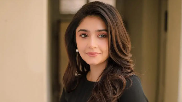 در فشاں سلیم کی ایک کروڑ روپے کی پینٹنگ تیار کرنے کی ویڈیو وائرل