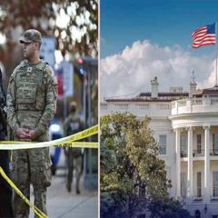 وائٹ ہاؤس پر فائرنگ افغان طالبان رجیم پوری دنیا کے امن کیلئے سنگین خطرہ