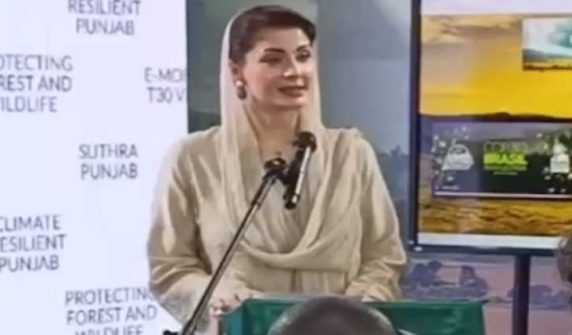 وزیراعلیٰ پنجاب مریم نواز شریف کا پنجاب کو ٹی 30 وژن کے معیار کا صوبہ بنانے کا اعلان