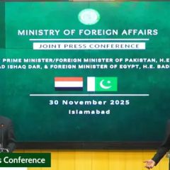 پاکستان اور مصر دہشت گردی کیخلاف متحد، دفاعی و معاشی شراکت داری پر اتفاق