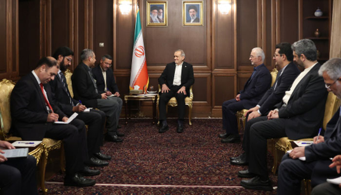 محسن نقوی کی تہران میں ایرانی صدر اور پارلیمنٹ کے اسپیکر سے علیحدہ علیحدہ ملاقات